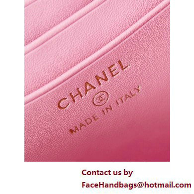 Chanel Lambskin, Resin  &  Gold-Tone Metal Clutch with Chain Bag AP3820 Dark Pink 2025